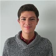 Profesor de apoyo escolar (ingles) para niños de forma virtual